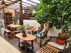 Northshore Bungalows (D19), Detached #580232221